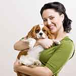 Web漏洞扫描工具