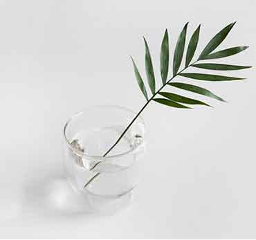 网页DDOS攻击平台